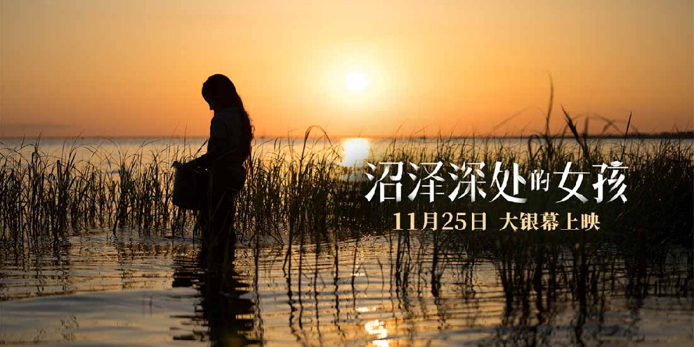 鲁豫力荐《沼泽深处的女孩》 女性力量引爆情绪共鸣预售全面开启