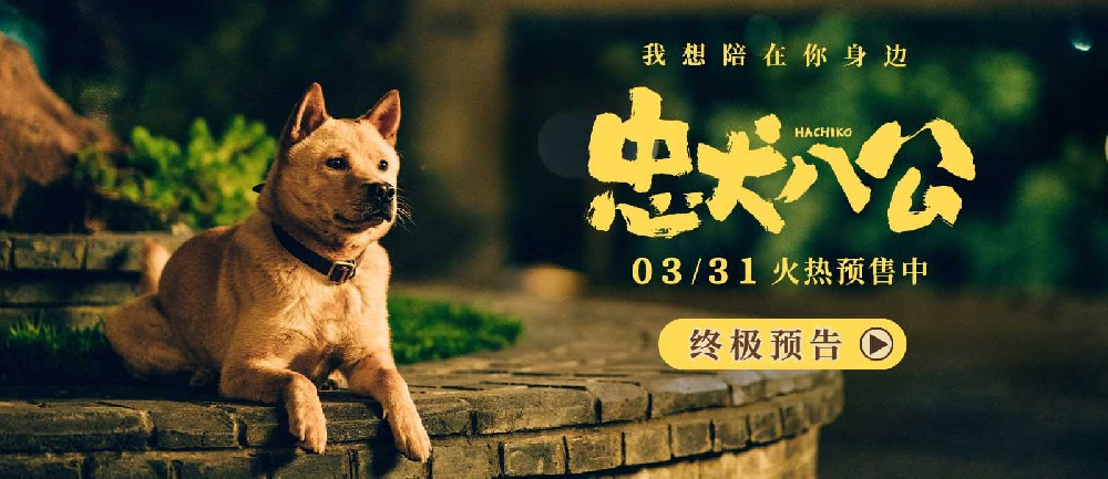 年度重磅情感炸弹《忠犬八公》曝终极预告 真挚感人获观众泪目力赞