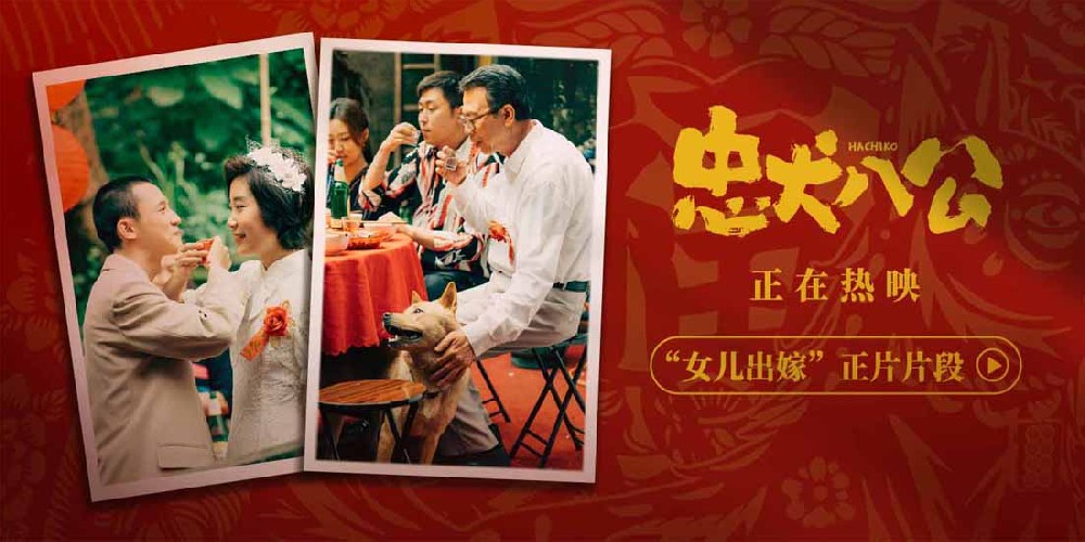 中国版《忠犬八公》曝“女儿出嫁”片段 浓浓烟火气中述说父爱炽烈深沉