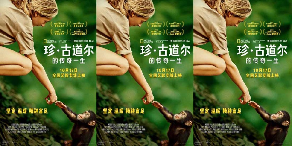 国家地理优质纪录片佳作《珍·古道尔的传奇一生》定档10月17日